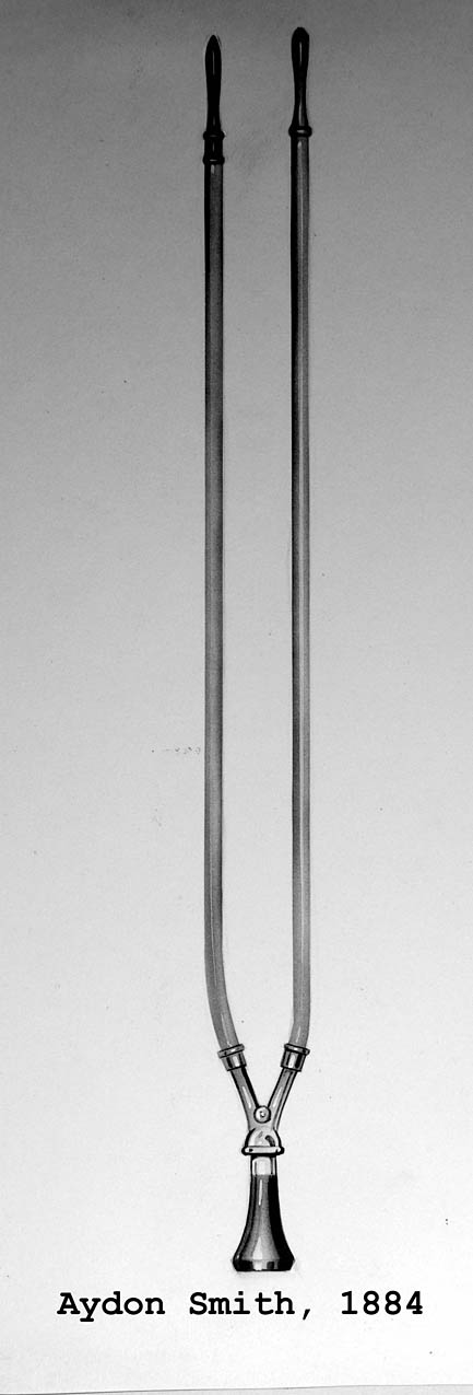 Magnified image for image #1