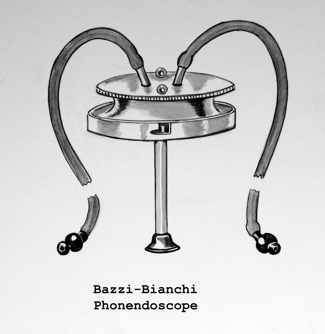 Magnified image for image #1