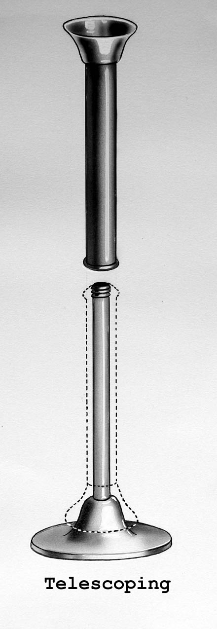 Magnified image for image #1