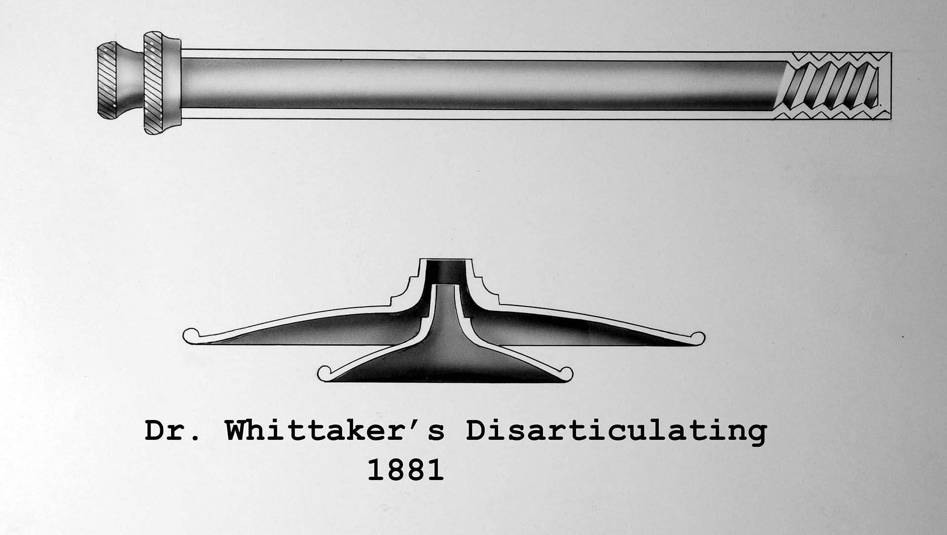 Magnified image for image #1