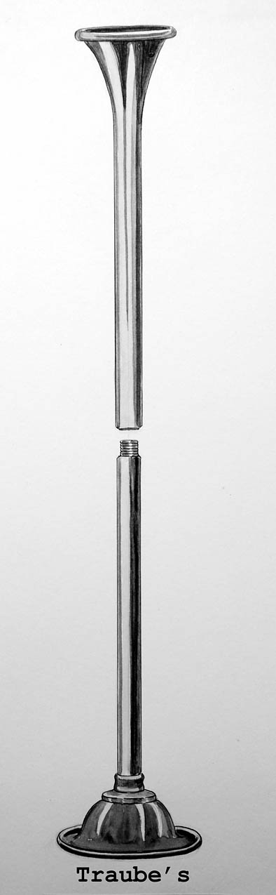 Magnified image for image #1