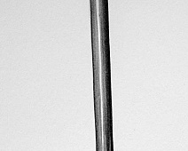 Photo of Ferguson’s (stethoscope_drawing___mumie_103jpg)