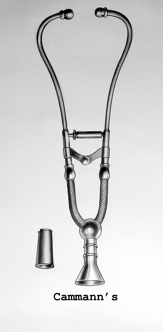 Magnified image for image #1