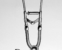 Photo of Cammann’s (stethoscope_drawing___mumie_110jpg)