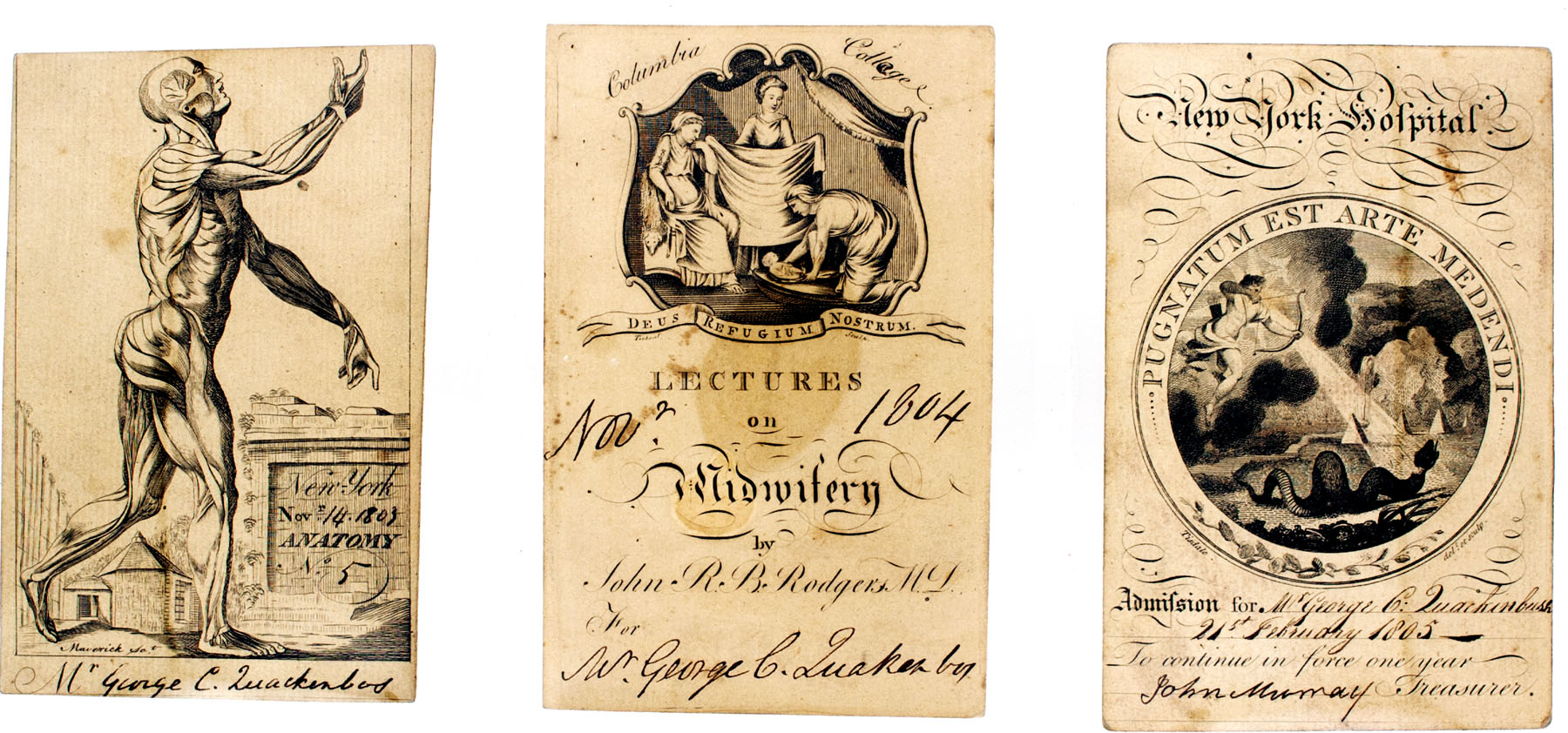 Magnified image for image #1