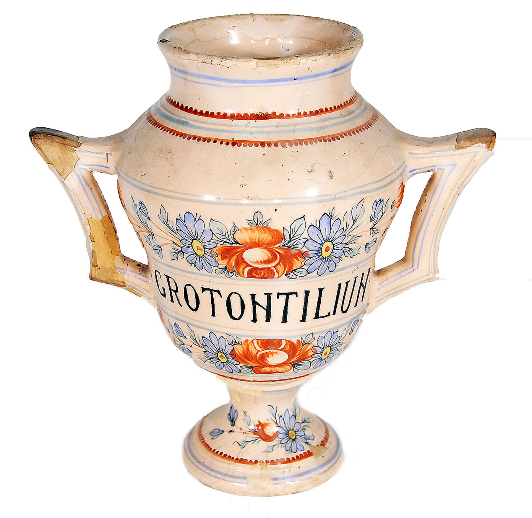 Magnified image for image #1