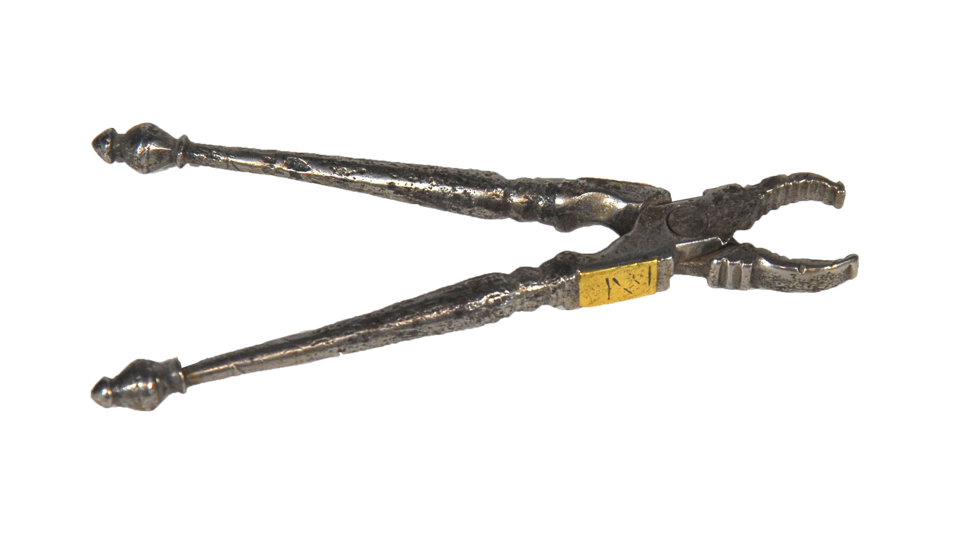 Magnified image for image #1