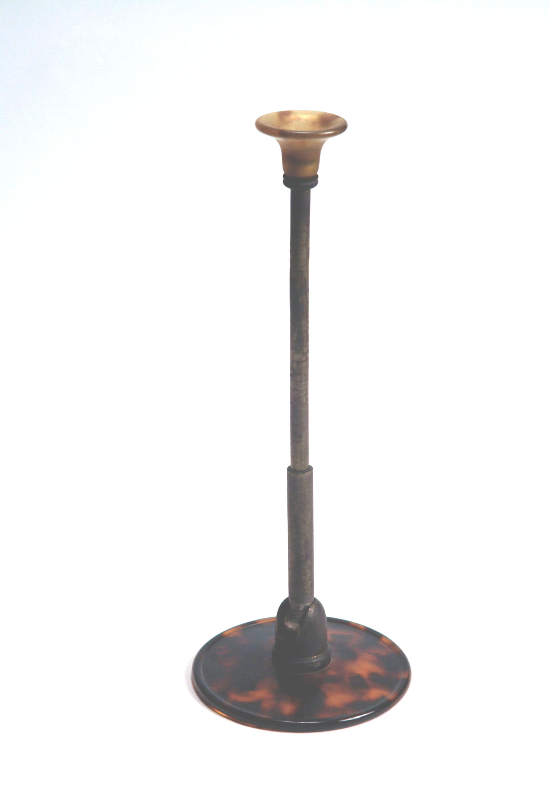 Magnified image for image #1