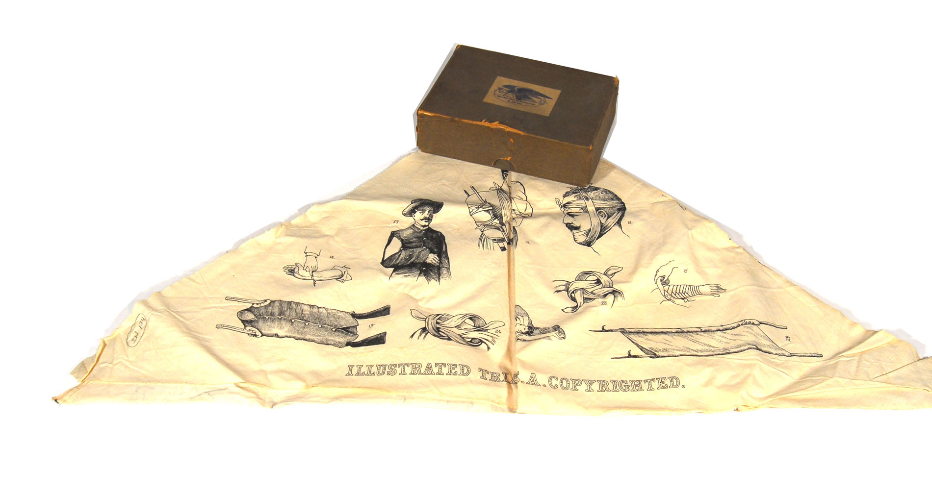 Magnified image for image #1