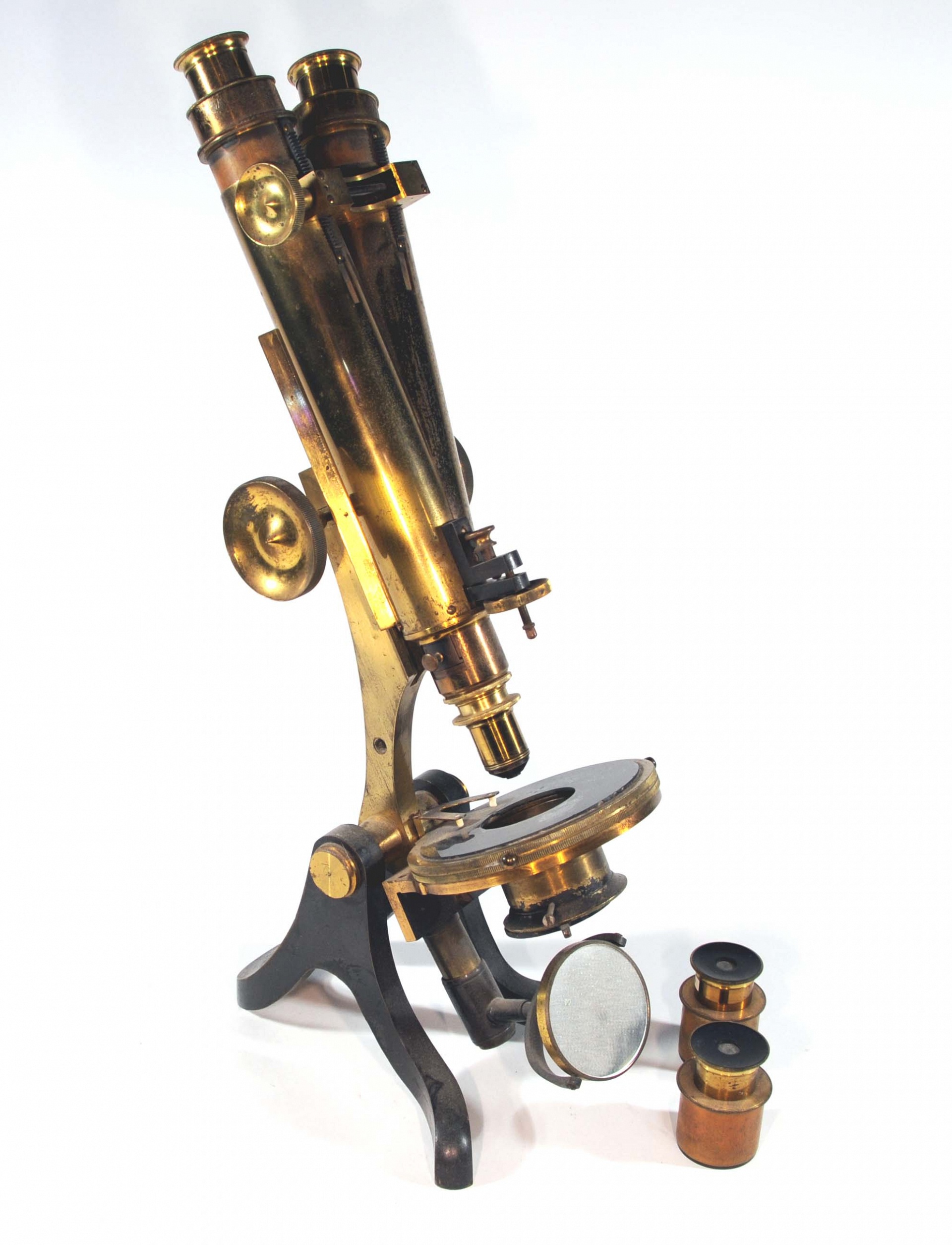 Magnified image for image #1