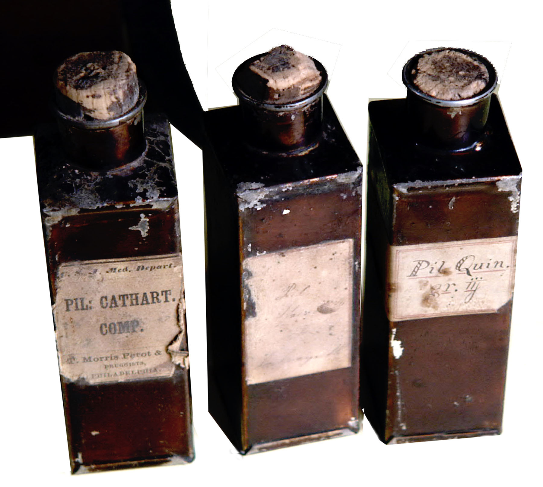 Magnified image for image #6