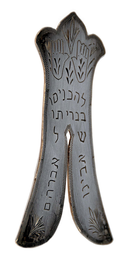 Magnified image for image #1