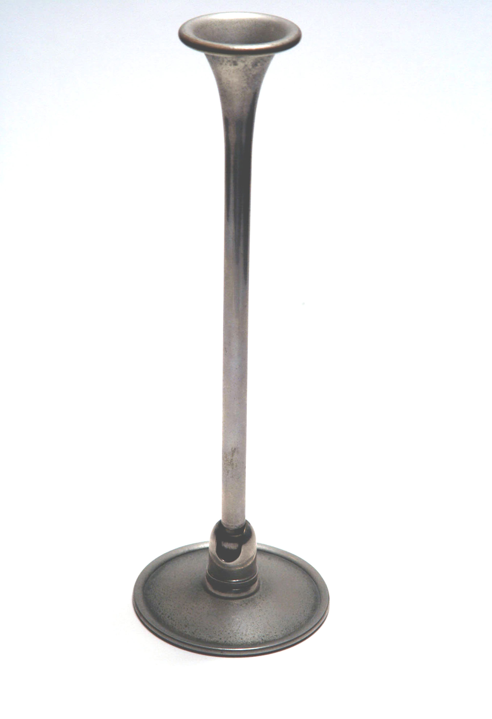 Magnified image for image #1