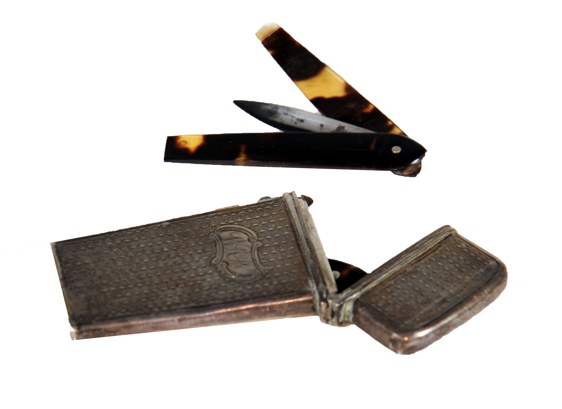 Magnified image for image #1