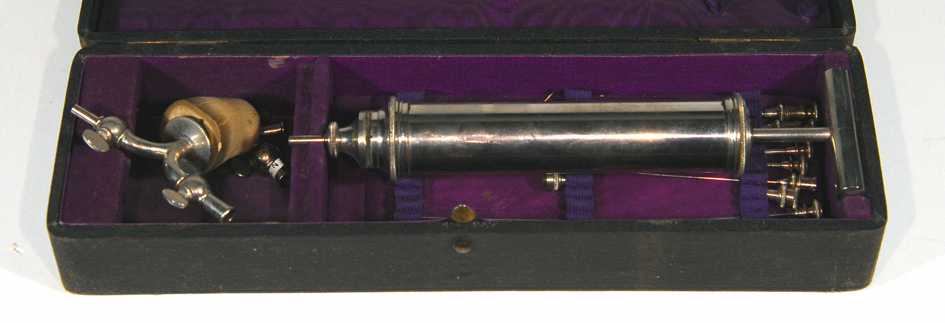 Magnified image for image #1