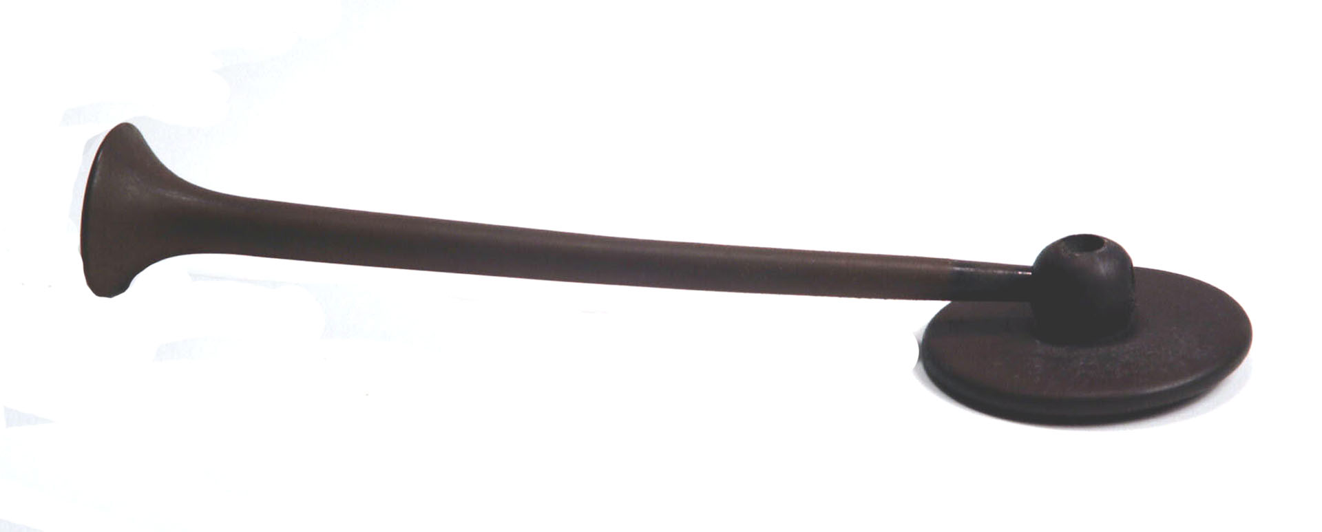 Magnified image for image #1