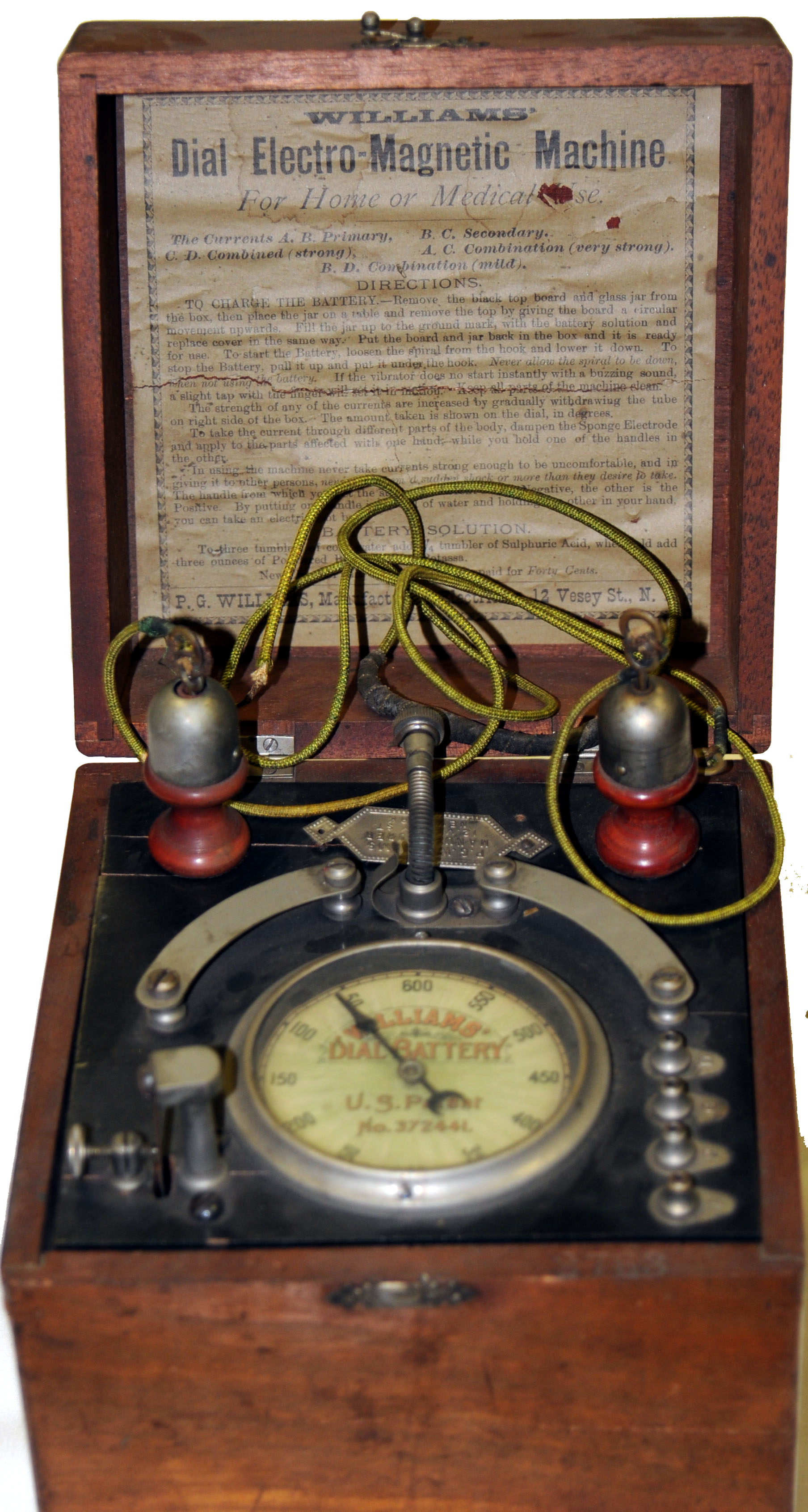 Magnified image for image #1