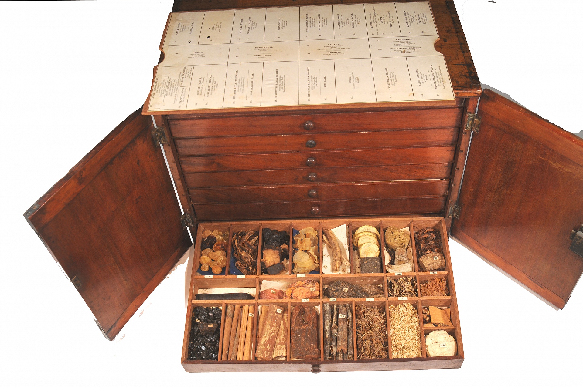 Magnified image for image #4