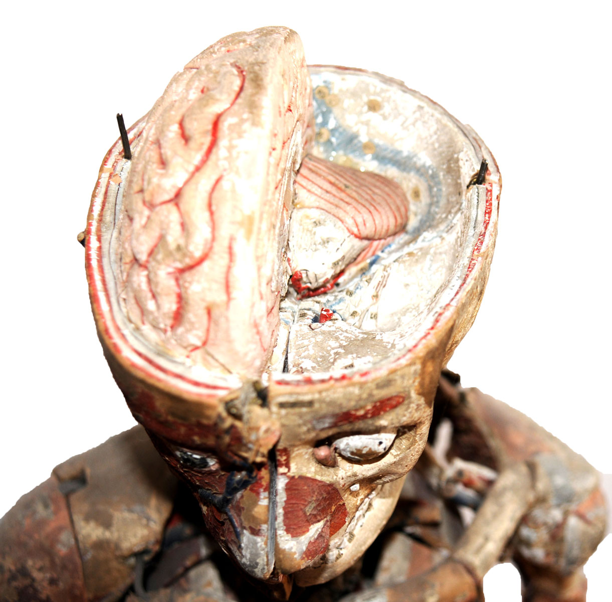 Magnified image for image #5