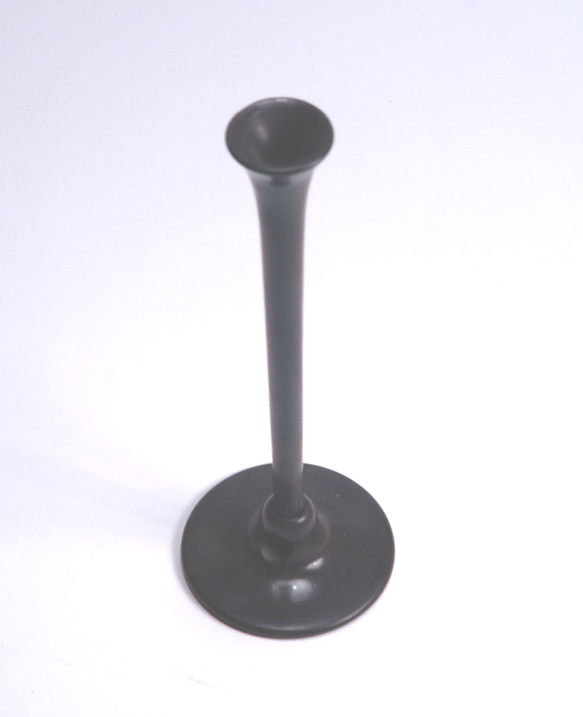 Magnified image for image #1