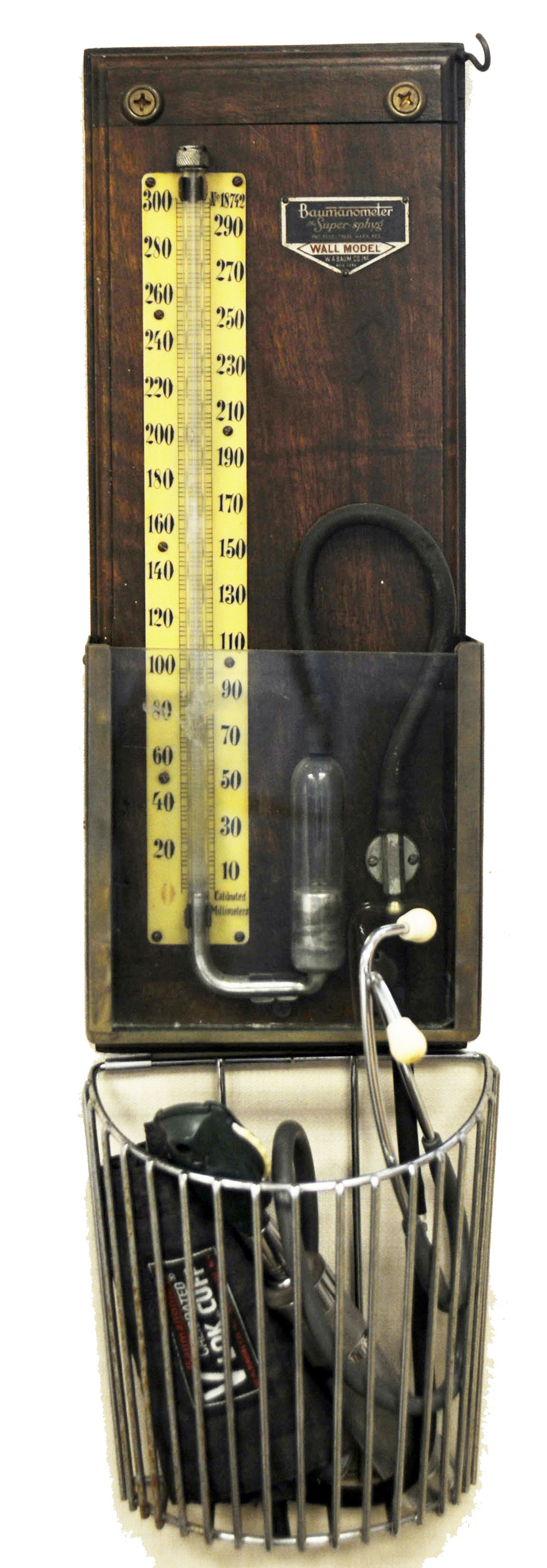 Magnified image for image #1