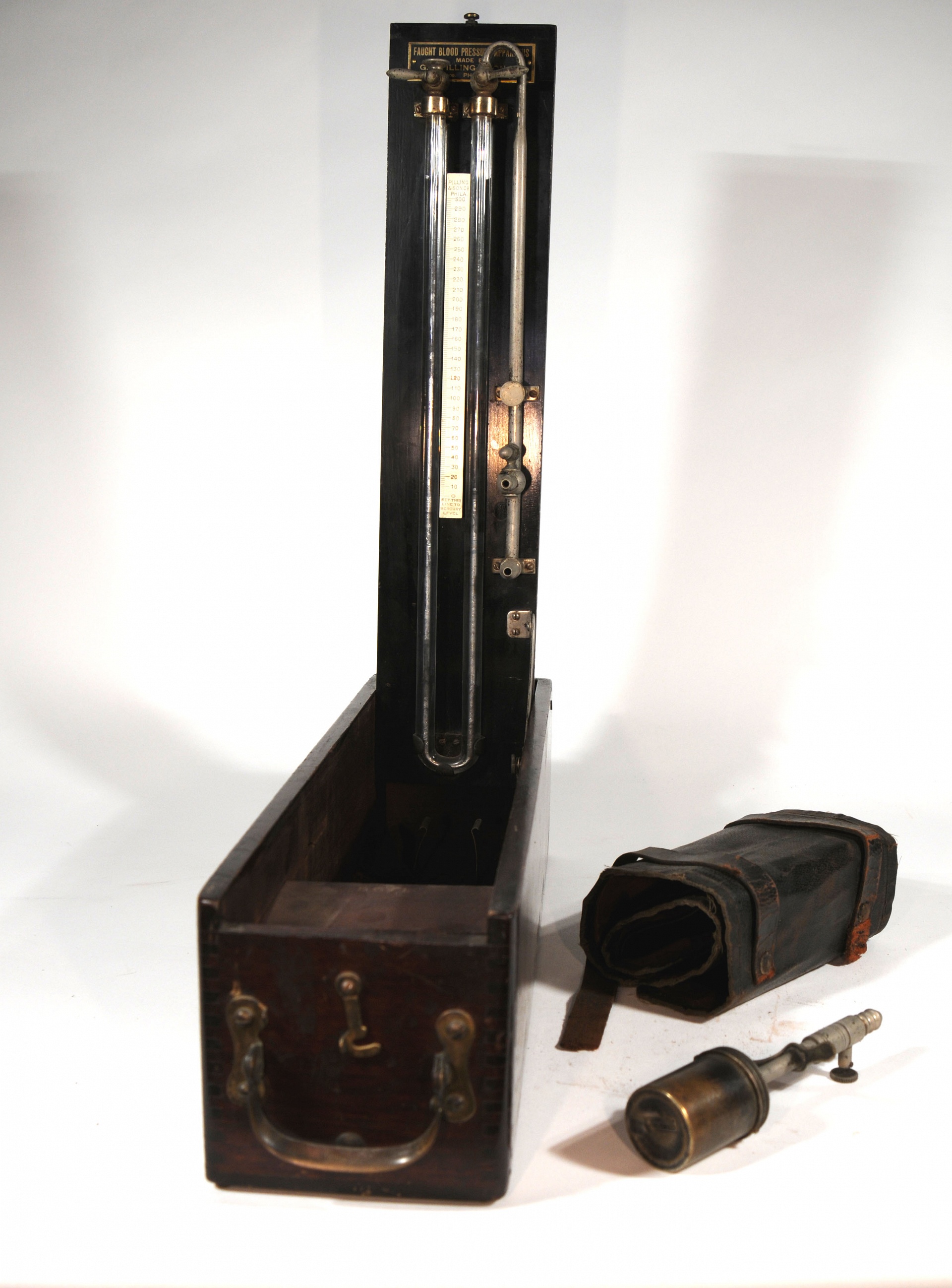 Magnified image for image #1