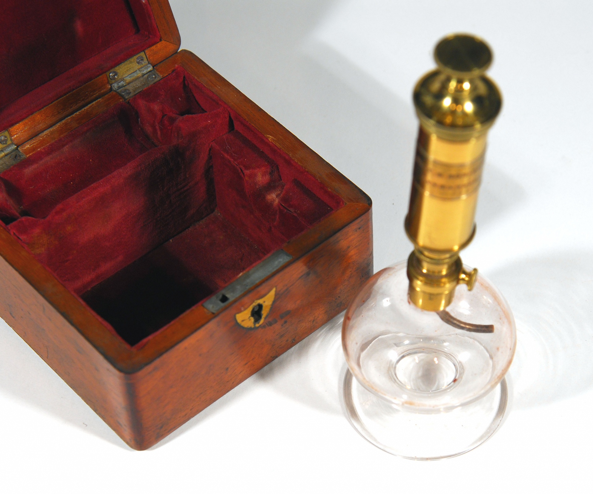 Magnified image for image #1