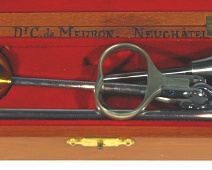 Photo of Scales, baby (scales_baby)