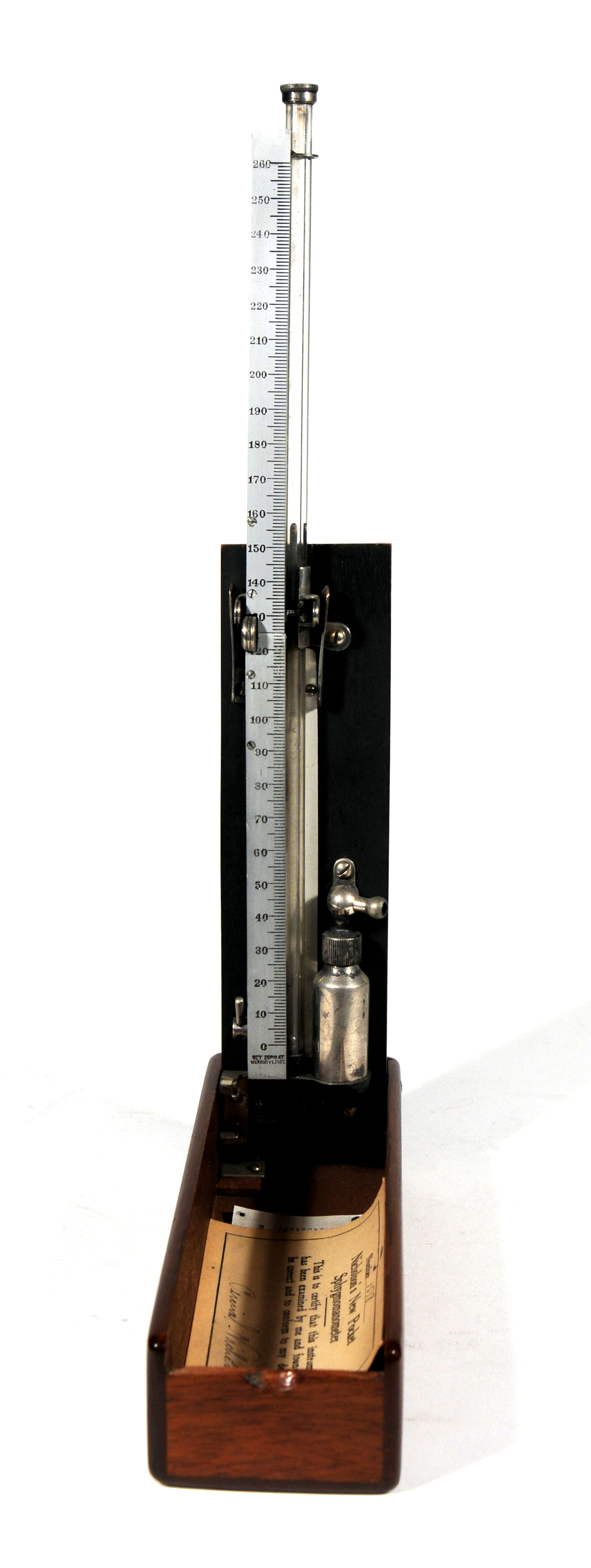 Magnified image for image #1