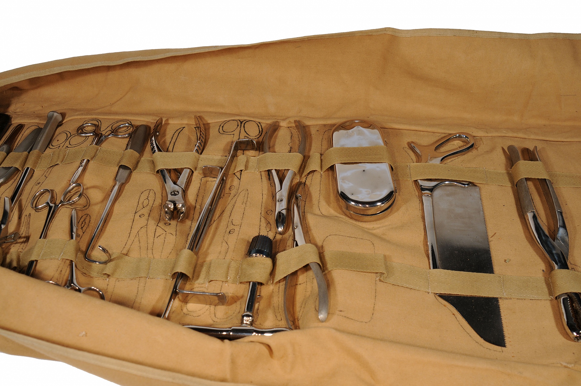 Magnified image for image #1