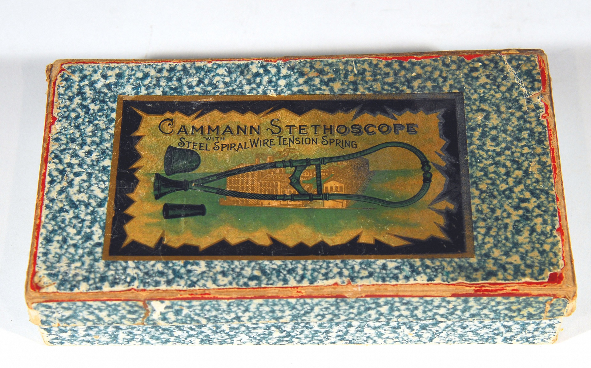 Magnified image for image #1