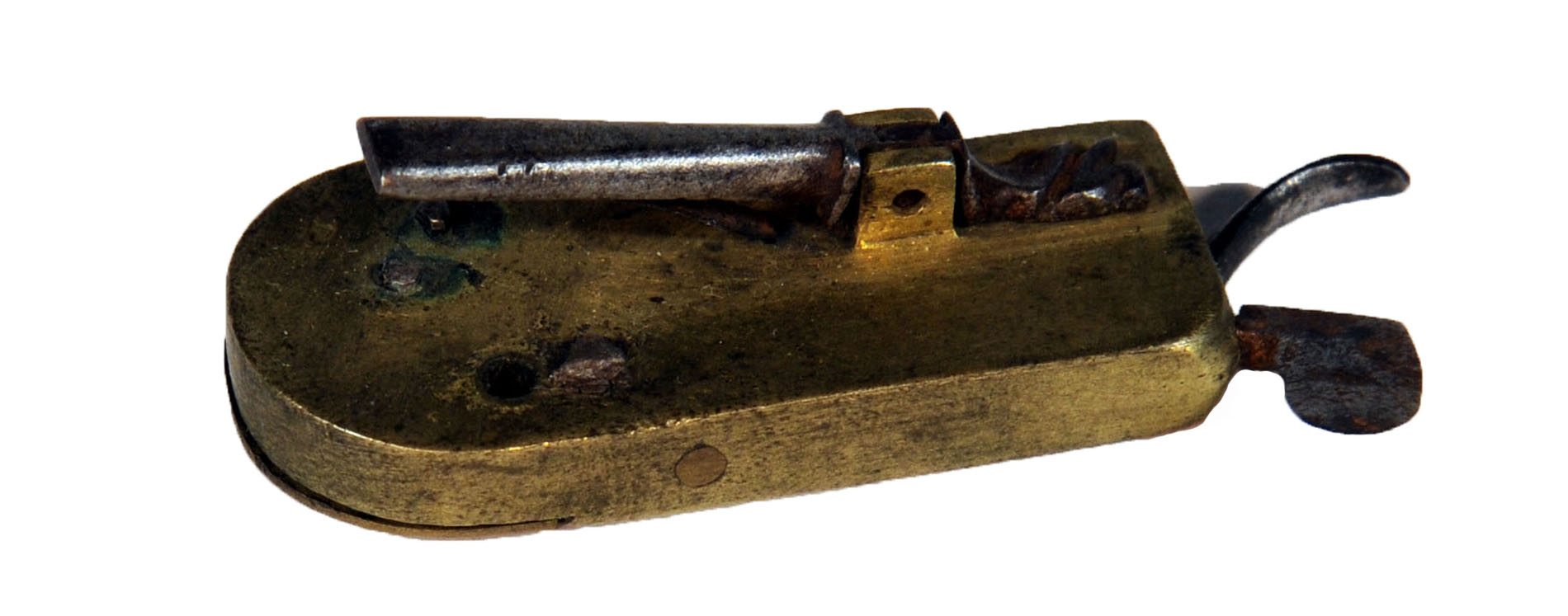 Magnified image for image #1