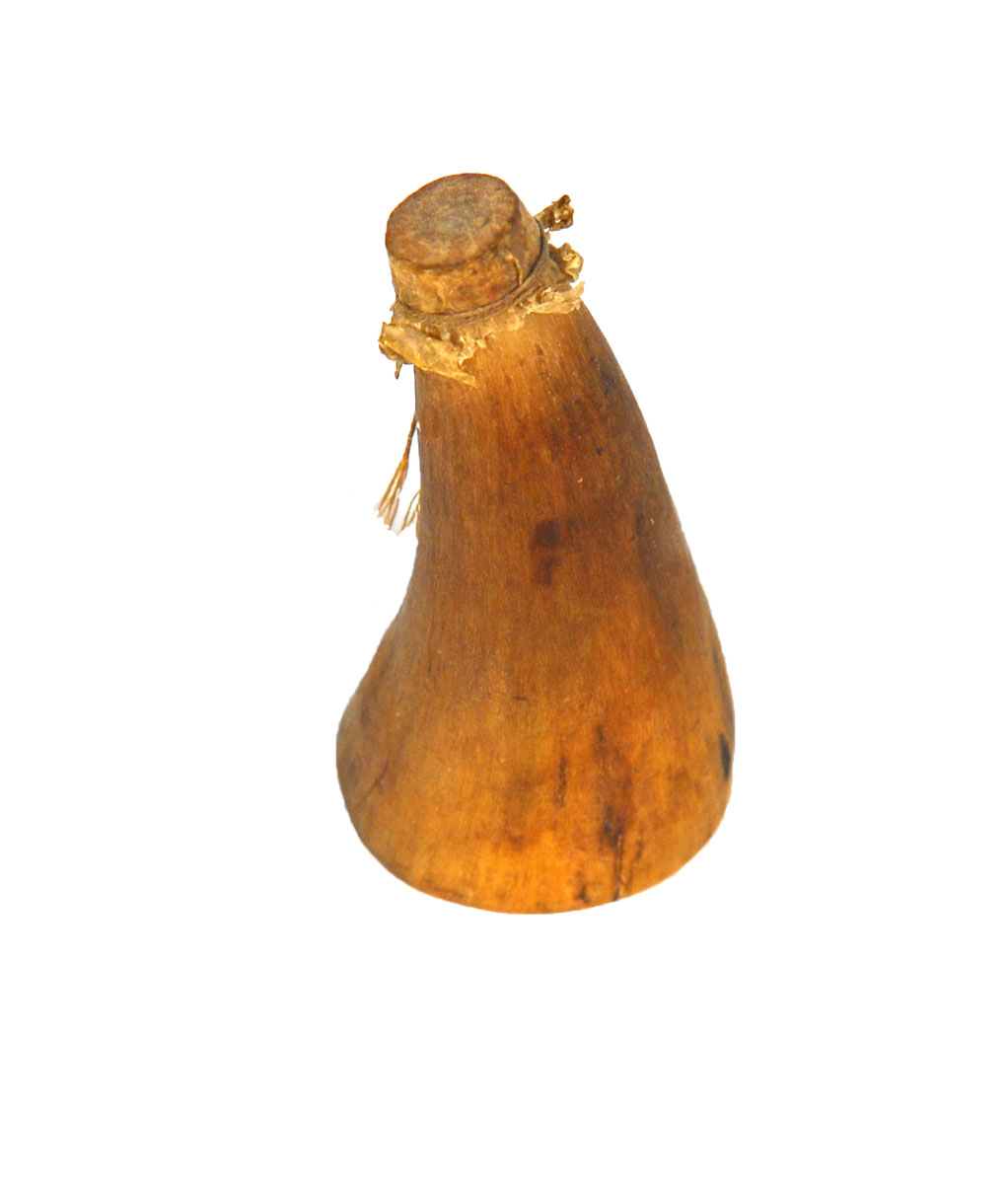 Magnified image for image #1