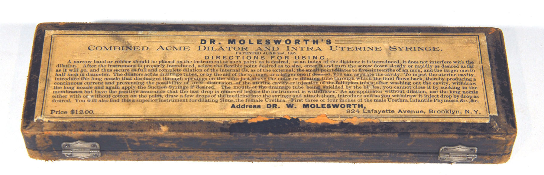 Magnified image for image #4