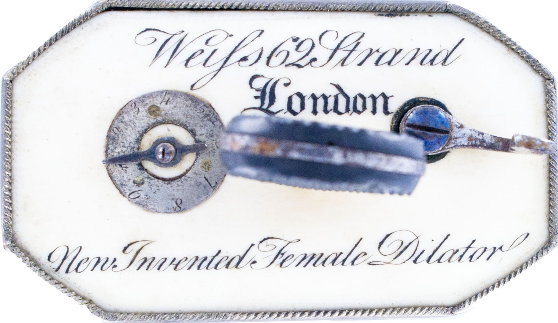 Magnified image for image #5