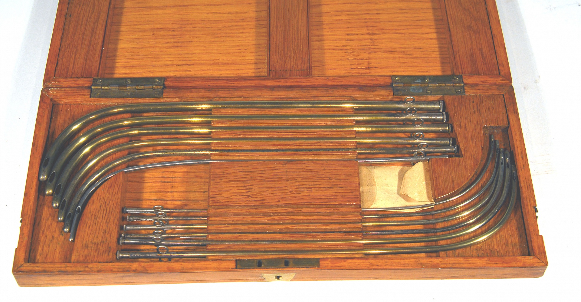 Magnified image for image #1