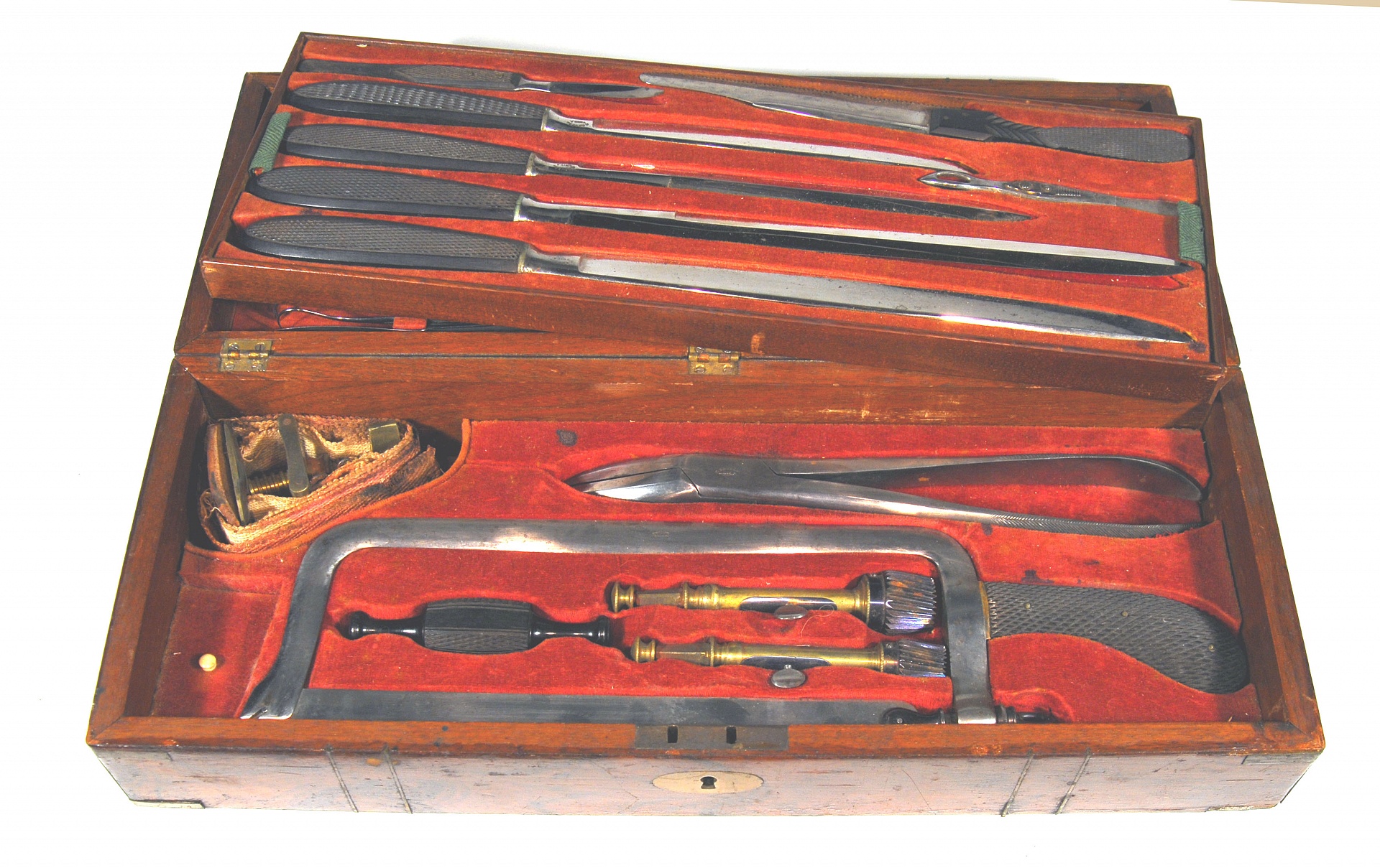 Magnified image for image #3