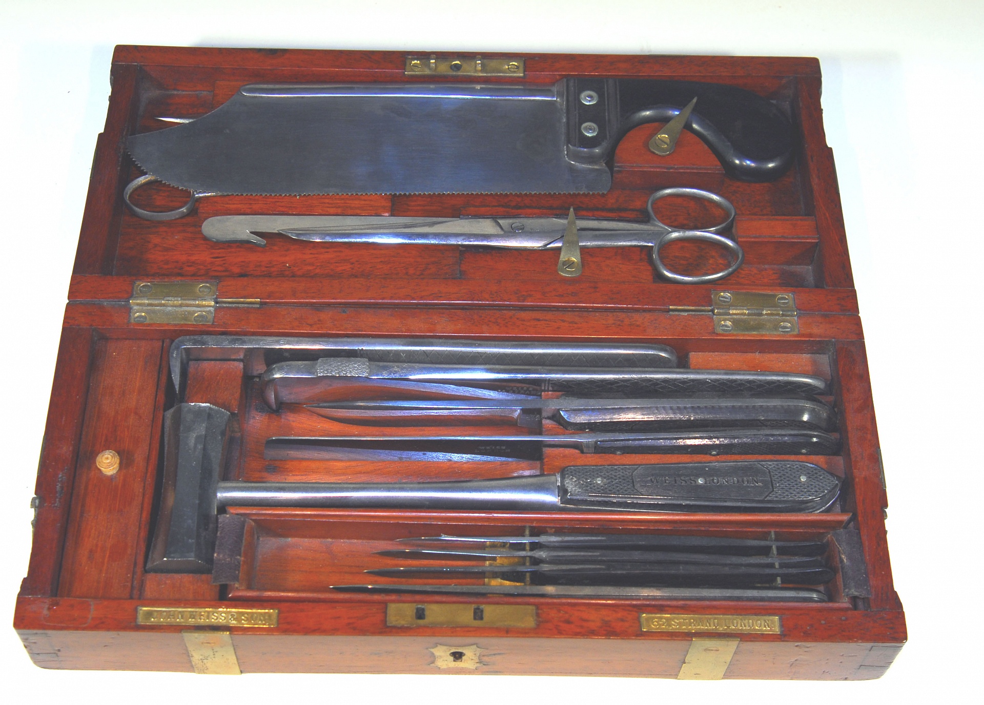 Magnified image for image #1