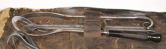 Magnified image for image #2