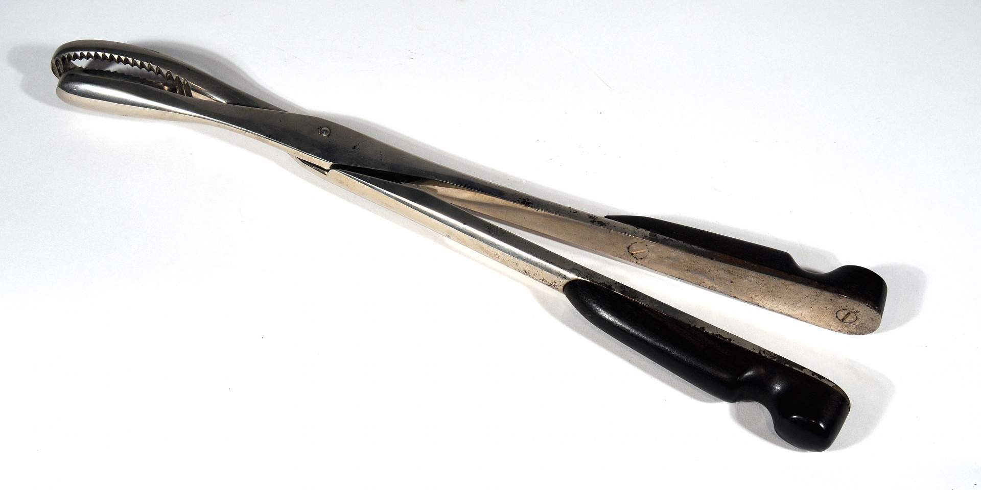 Magnified image for image #1