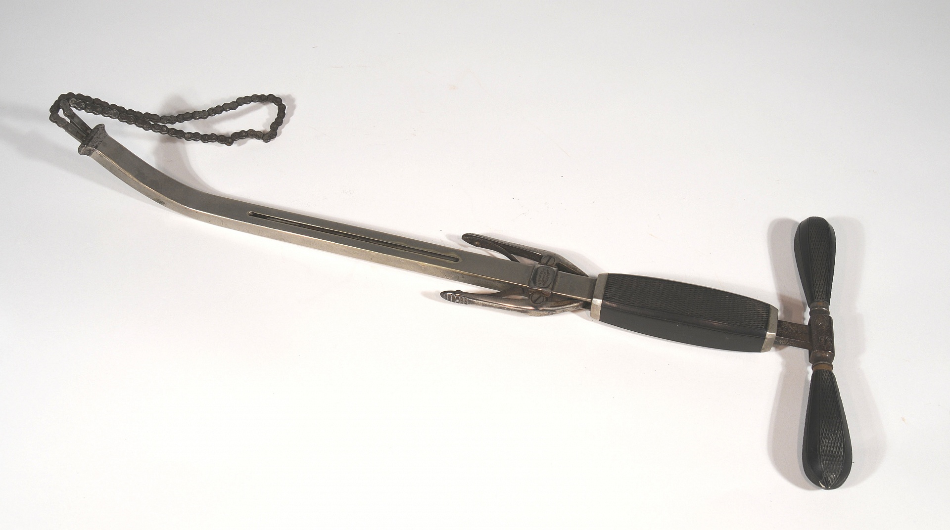 Magnified image for image #1