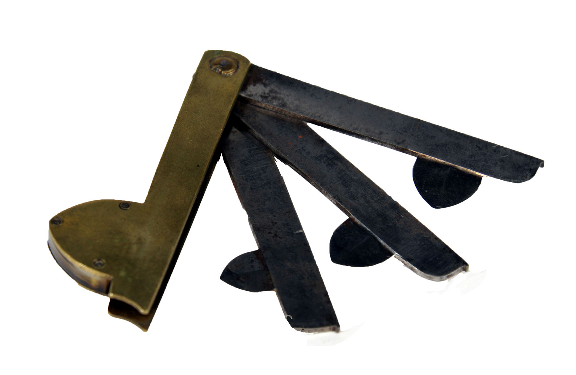 Magnified image for image #1