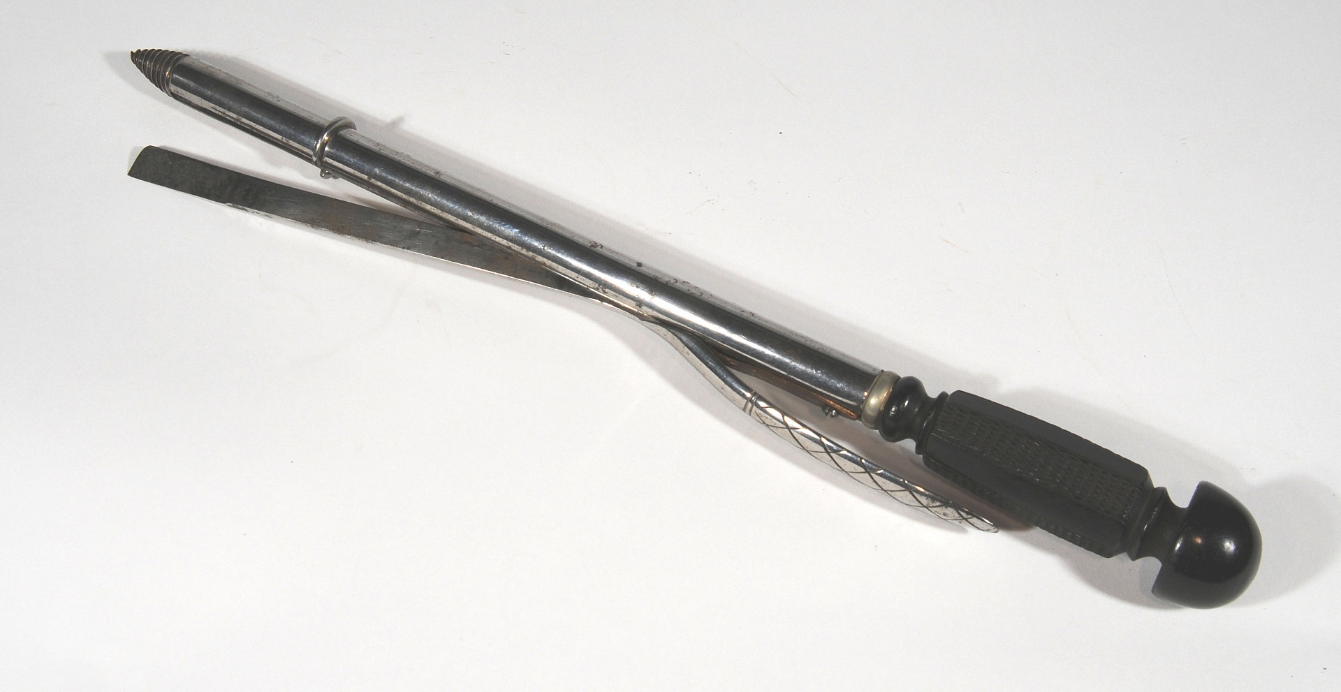 Magnified image for image #1