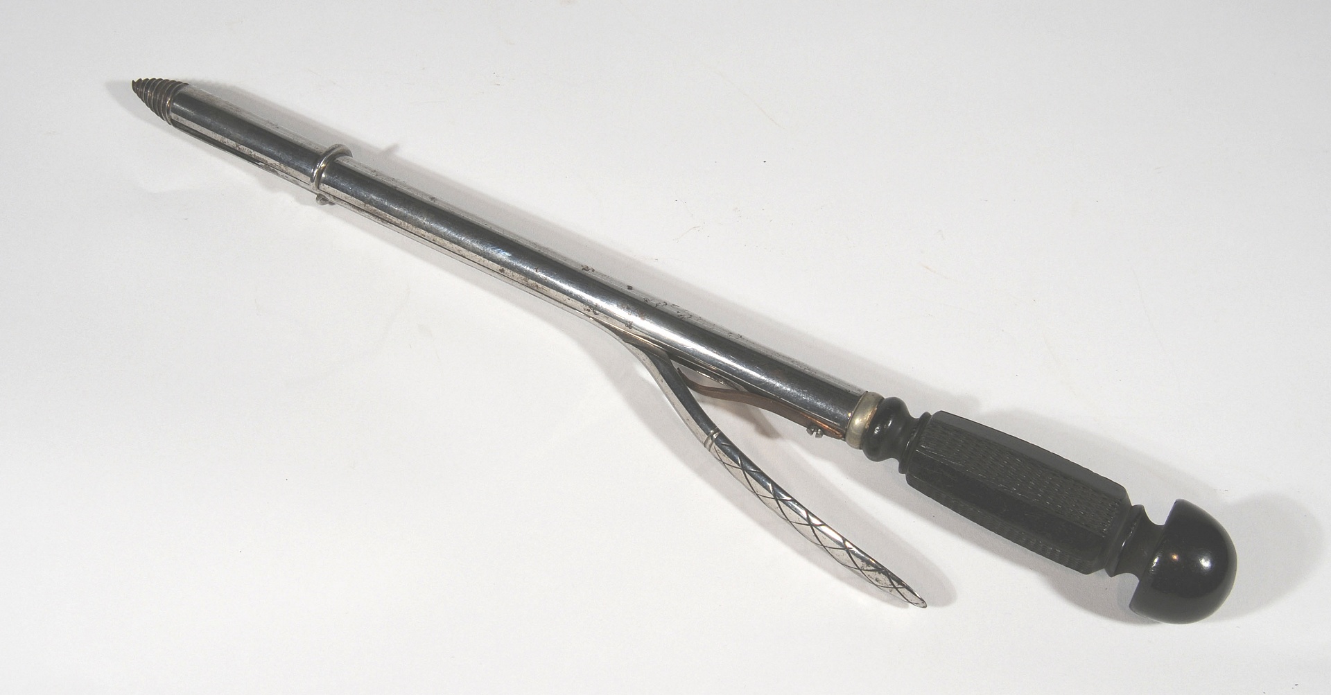 Magnified image for image #2