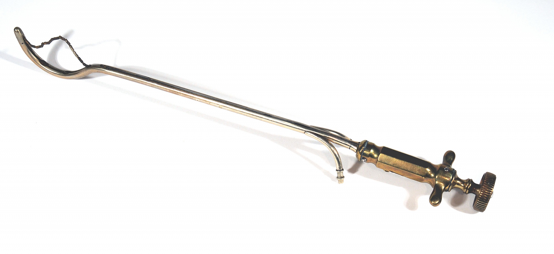 Magnified image for image #1