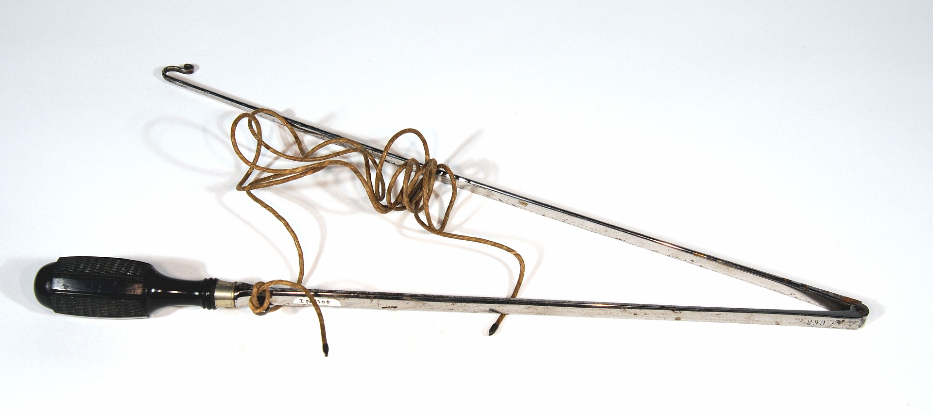 Magnified image for image #2