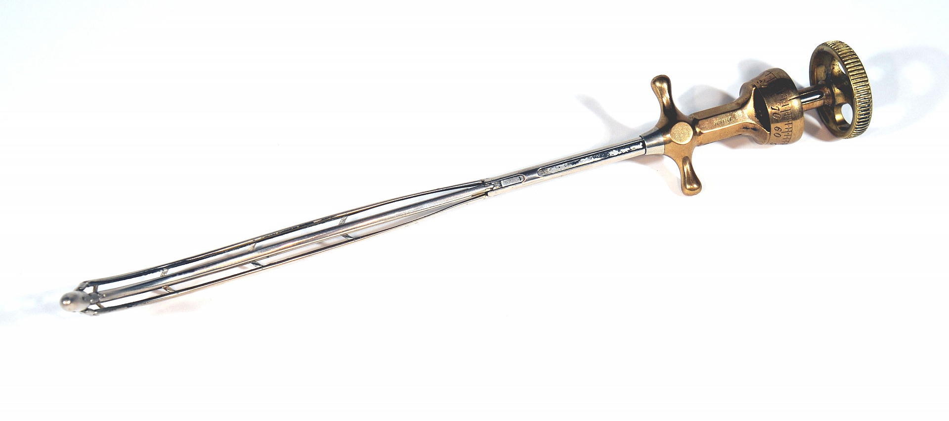 Magnified image for image #1