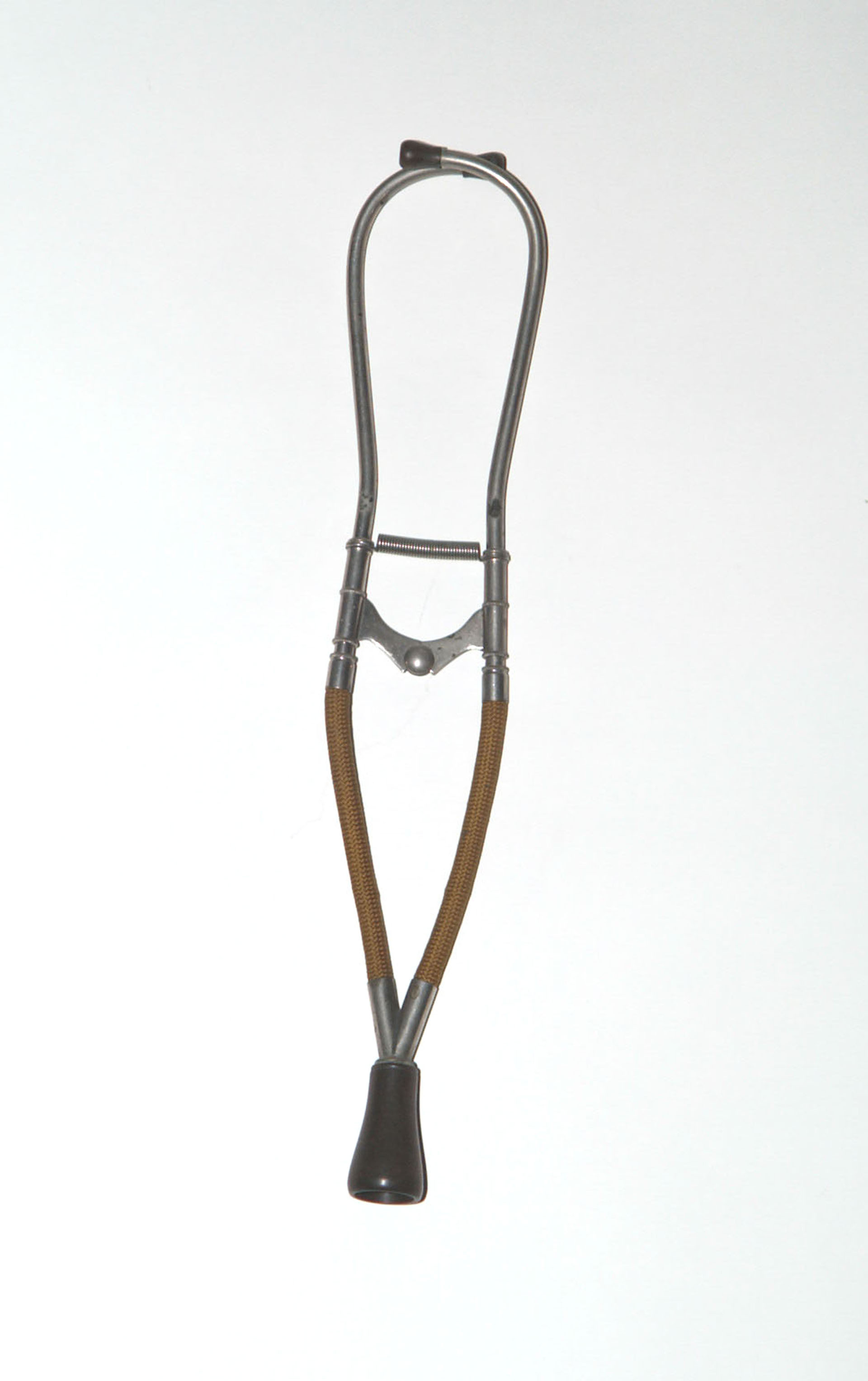 Magnified image for image #1