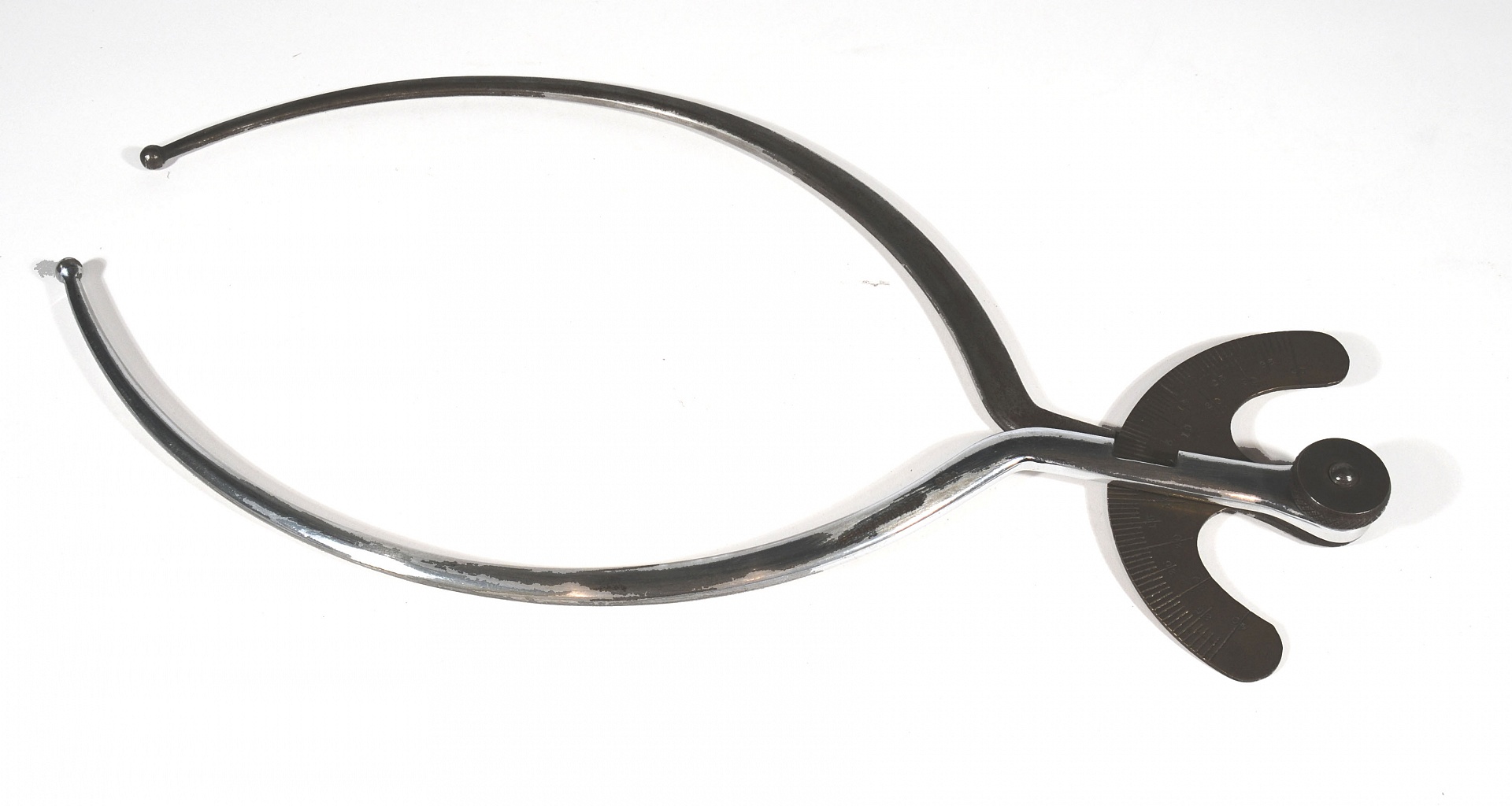 Magnified image for image #1