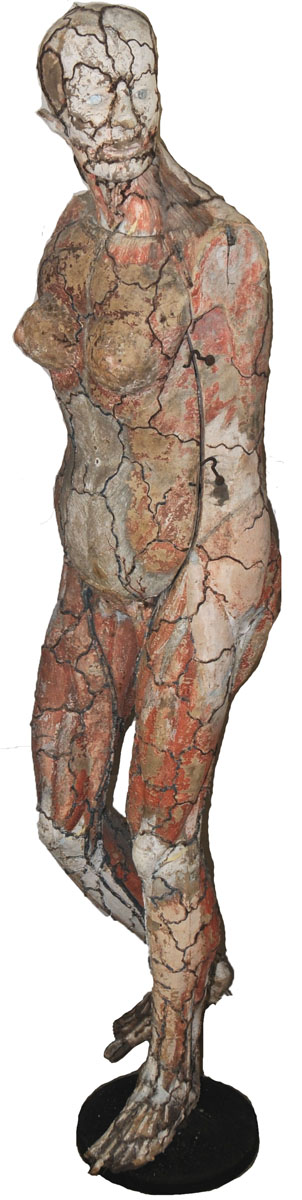 Magnified image for image #1